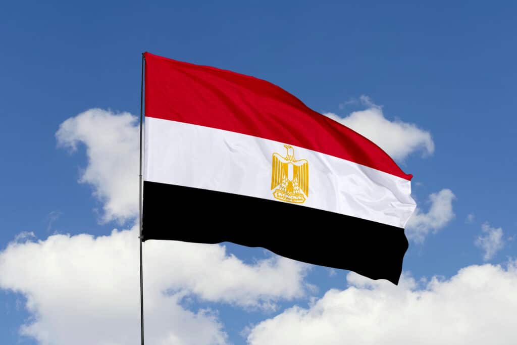 Fête de la révolution égyptienne