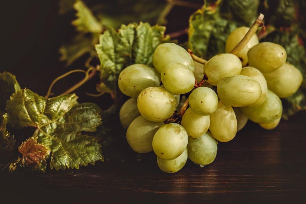 twelve grapes are eaten on new year in central america and other spanish speaking countries