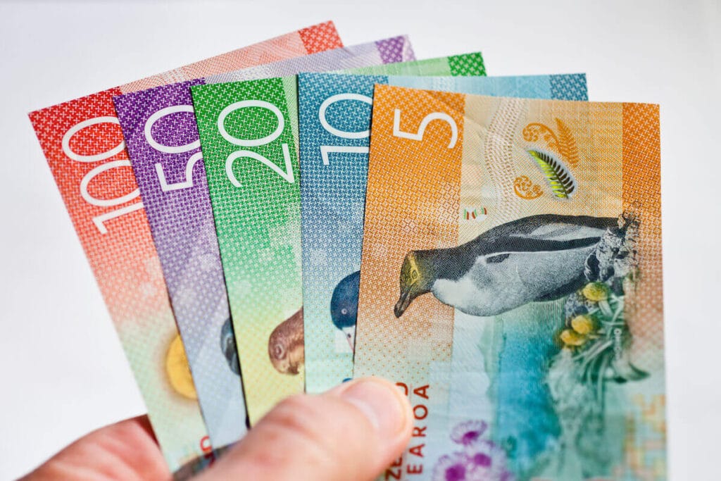 Person holding 5 pieces of New Zealand dollars