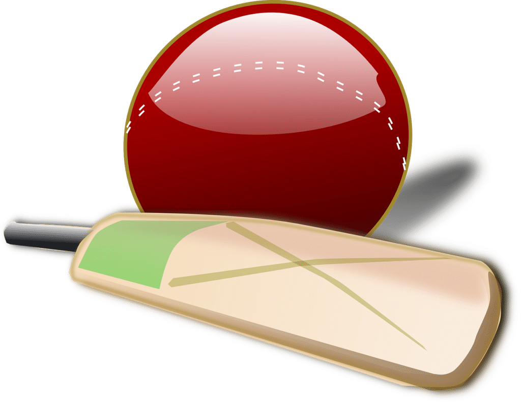 cricket illustration bat and ball