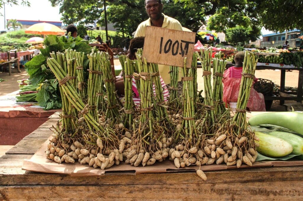 vanuatu market traditional root vegetable dish