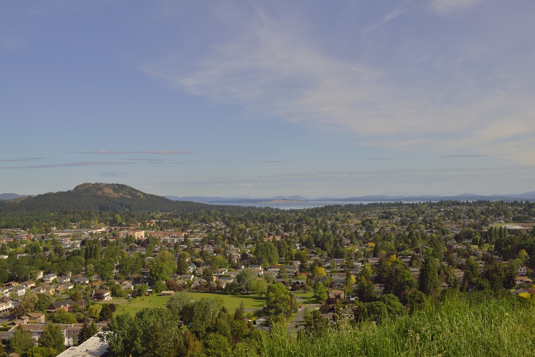 A photo looking toward the summit of Mount Douglas Park, in Victoria, British Columbia, Canada